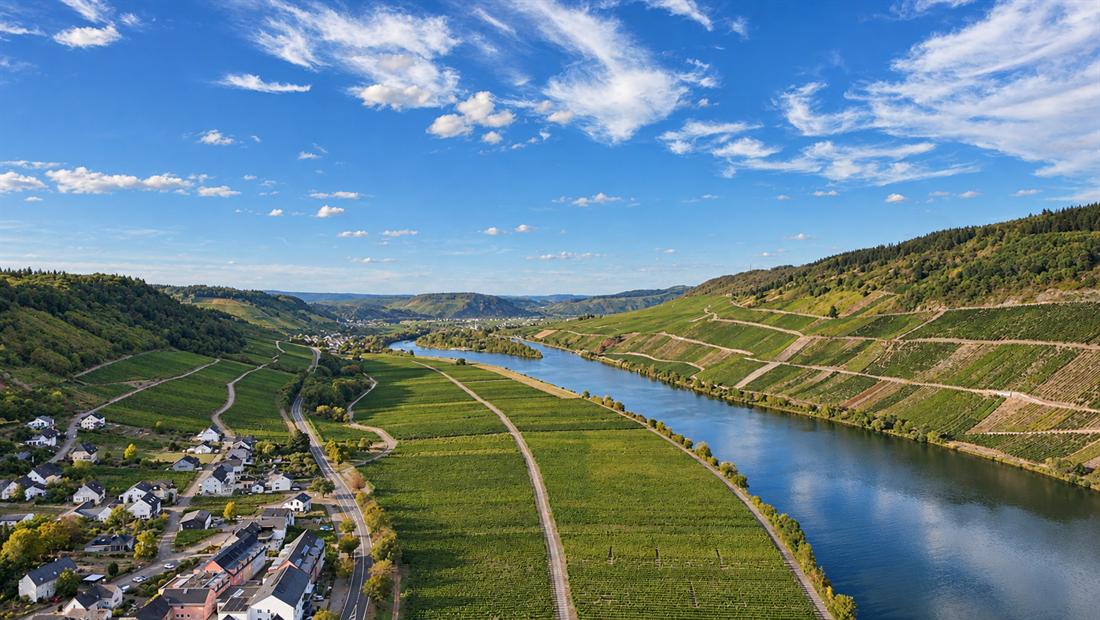 Die Mosel bei Pölich von oben