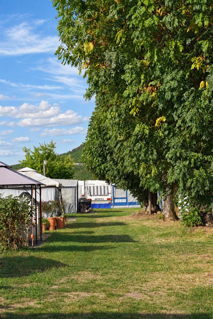 Stellplätze auf dem Campingplatz entlang einer Baumreihe